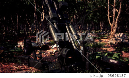 big gun cannon in the forest big gun cannon in the forest 93698187