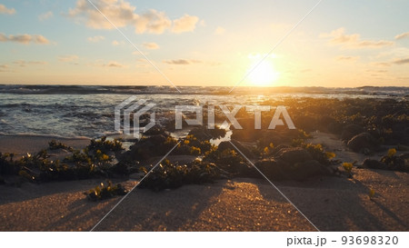 Sun over horizon and  rolling ocean waves to the shore while sunset during tide.  Beautiful natural landscape with water,  sandy beach  and green plants during low tide. Beautiful wild nature. 93698320