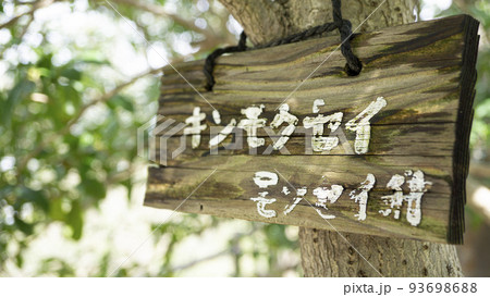 キンモクセイの木の札 93698688