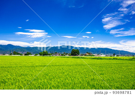 松本市から見る美ヶ原方面の田舎風景 松本市から見る美ヶ原方面の田舎風景 93698781