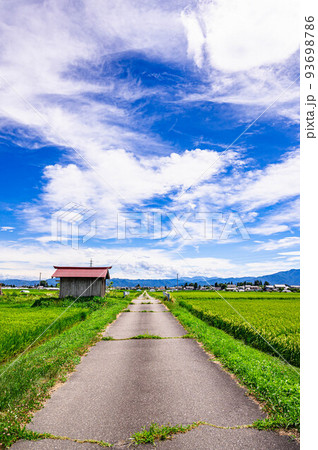 田園風景の中真っすぐ走る道 田園風景の中真っすぐ走る道 93698786
