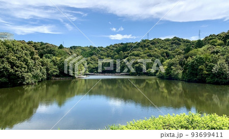 深緑の恩賜池［岡崎市中央総合公園/愛知県岡崎市］ 93699411
