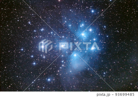 おうし座の散開星団M45（プレアデス星団）　天体写真 93699485