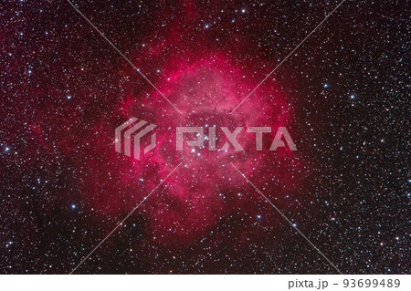 いっかくじゅう座の散光星雲NGC2237（ばら星雲）　天体写真 93699489