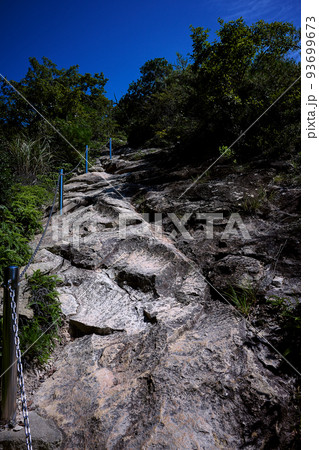 兵庫県加東市　三草山の登山道 93699673
