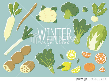 冬野菜イラストセット 冬野菜イラストセット 93699723