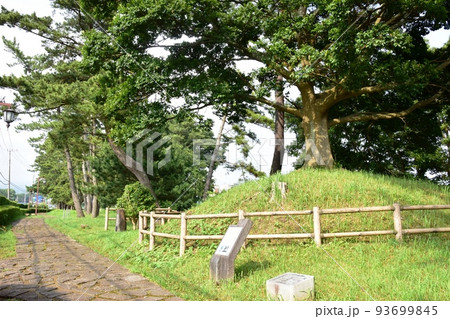 三島市　錦田一里塚と初音ヶ原松並木と箱根旧街道石畳 93699845