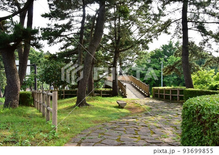 三島市　初音ヶ原松並木と初音ヶ原歩道橋と箱根旧街道石畳 93699855