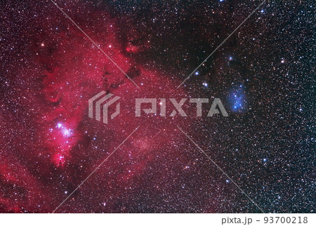 いっかくじゅう座の散光星雲NGC2264とIC2169　天体写真 93700218