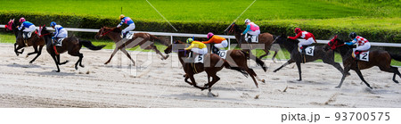 地方競馬場で疾走するサラブレッド達の美しさ 93700575