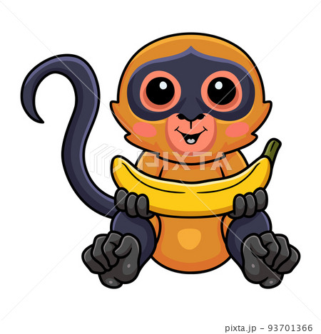 Cute spider monkey cartoon holding a banana Cute spider monkey cartoon holding a banana 93701366
