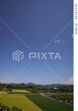 田園風景 丹波篠山 JR丹波大山駅付近 8月下旬 田園風景 丹波篠山 JR丹波大山駅付近 8月下旬 93701450