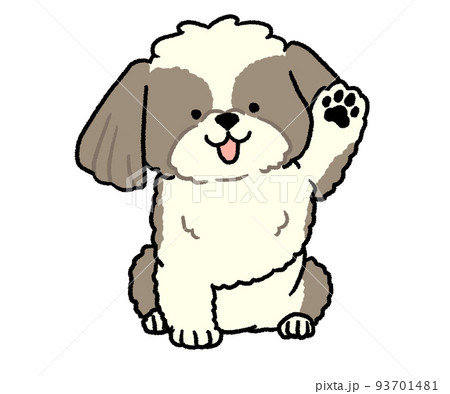 片手を挙げている茶色いシーズー 93701481