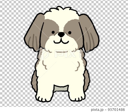 坐在棕色西施犬 93701486