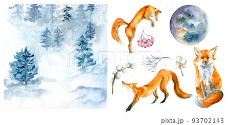Set of foxes and winter landscape watercolor illustration isolated on white background. 93702143