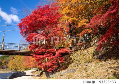 那須塩原 紅の吊橋の紅葉 那須塩原 紅の吊橋の紅葉 93703433
