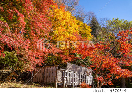 那須塩原 紅の吊橋の紅葉 那須塩原 紅の吊橋の紅葉 93703444