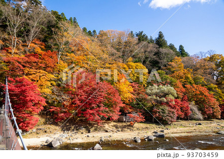 那須塩原 紅の吊橋の紅葉 93703459