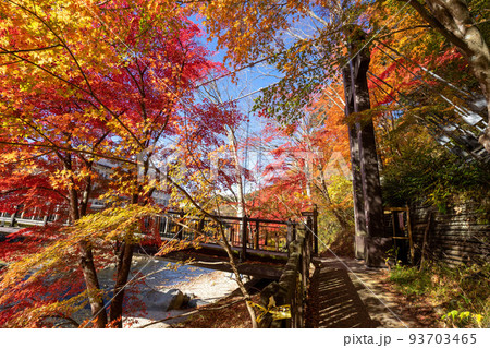 那須塩原 紅の吊橋の紅葉 93703465