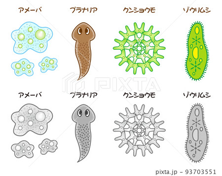 シンプルな微生物のイラスト素材 93703551