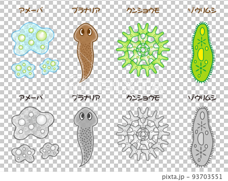 シンプルな微生物のイラスト素材 93703551