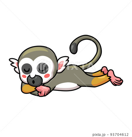 Cute little squirrel monkey cartoon sleeping Cute little squirrel monkey cartoon sleeping 93704612