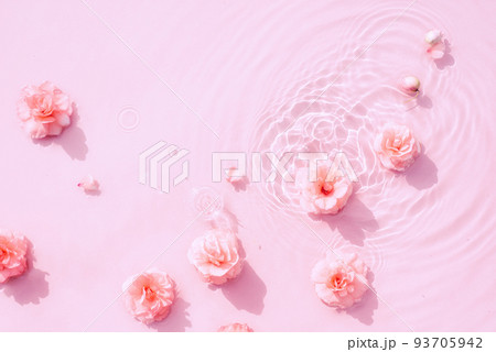 Summer background with pink roses in water with drops. Minimal natural abstract backdrop 93705942