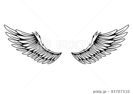 Vintage heraldic wings sketch. Monochrome stylized birds wings. Hand drawn contoured stiker wing in open position. Design elements in coloring style 93707310