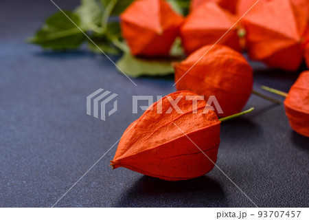 Beautiful orange buds of cape gooseberry on a dark concrete background Beautiful orange buds of cape gooseberry on a dark concrete background 93707457