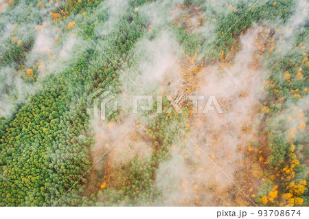 Aerial view of a logging zone cuts through forest. Bush fire and smoke in deforestation zone. Wild open fire destroys grass. Nature in danger. Ecological problem air pollution 93708674