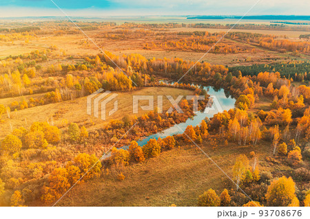 Aerial view yellow forest and curved river landscape in sunny autumn day. Top view of beautiful european nature from high attitude in autumn season. Drone view. Bird's eye view 93708676