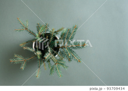 The concept is green. Bouquet of fir branches in a pot on a green background 93709434