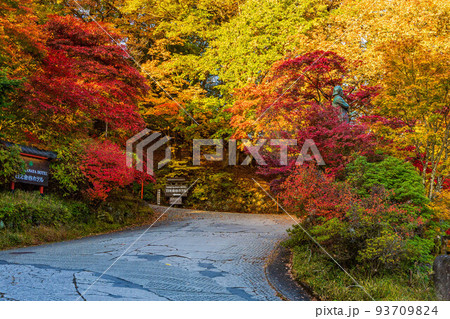 国内屈指の観光地日光 神橋付近の紅葉(日光金谷ホテル入口) 国内屈指の観光地日光 神橋付近の紅葉(日光金谷ホテル入口) 93709824