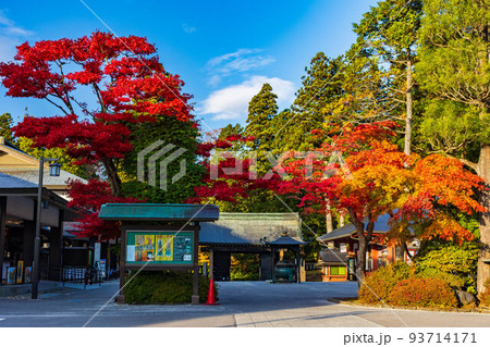 世界遺産「日光の社寺」構成資産　紅葉の日光山輪王寺　黒門 93714171