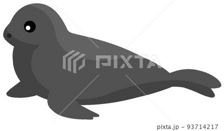 バイカルアザラシ 93714217