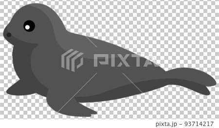 バイカルアザラシ 93714217