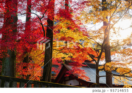 世界遺産「日光の社寺」構成資産 紅葉の日光山輪王寺 世界遺産「日光の社寺」構成資産 紅葉の日光山輪王寺 93714655