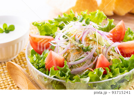 野菜サラダを食べる 93715241