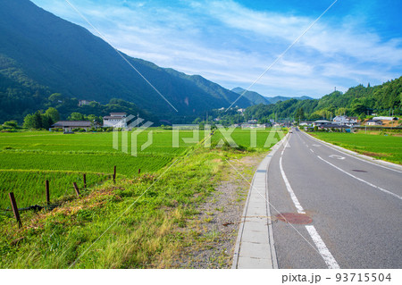 牧水橋近く　大楊入口付近の田園風景　初夏の季節 93715504