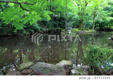 夏の織田信長の館跡散策・9（岐阜県岐阜市：岐阜公園） 93715595