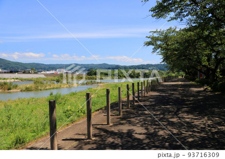 北上川沿いの遊歩道 北上川沿いの遊歩道 93716309