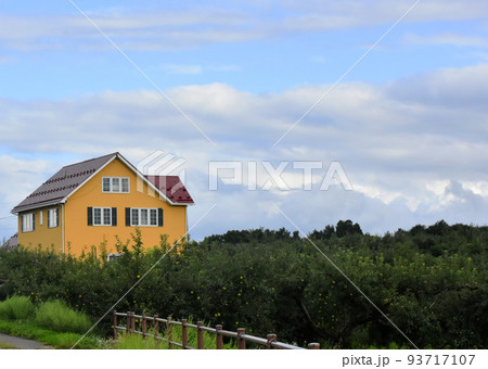 【長野県中野市】リンゴ畑 93717107