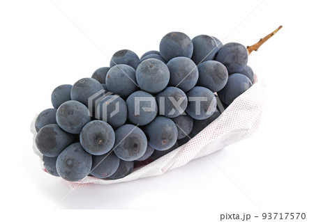 ぶどう（サマーブラック） 93717570