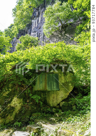 夏の山寺の風景　立石寺　せみ塚 　山形県山形市 93717784