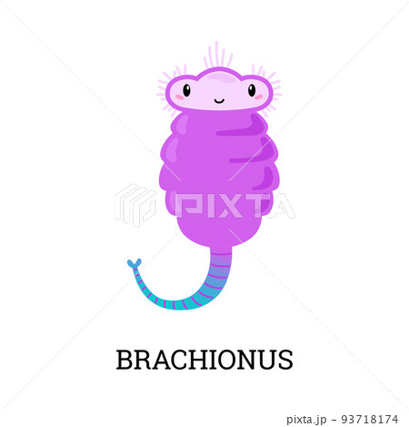 Brachionus purple cute cartoon character flat style, vector illustration 93718174