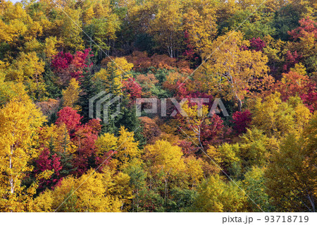 十勝岳の紅葉 十勝岳の紅葉 93718719