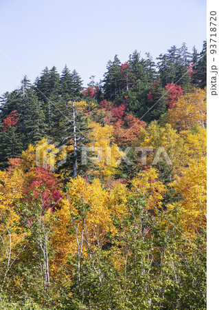 十勝岳の紅葉 十勝岳の紅葉 93718720
