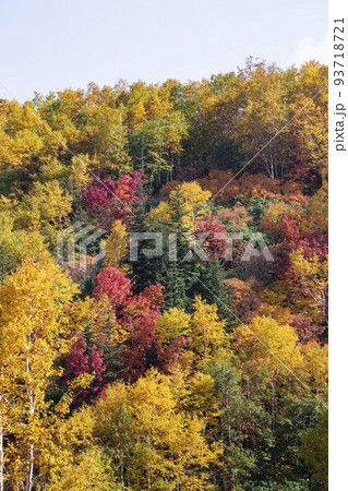 十勝岳の紅葉 十勝岳の紅葉 93718721
