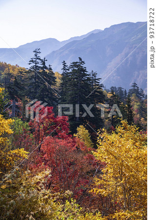 十勝岳の紅葉 十勝岳の紅葉 93718722