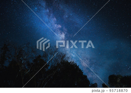 Night scene milky way background,Trees Against Sky At Night Night scene milky way background,Trees Against Sky At Night 93718870